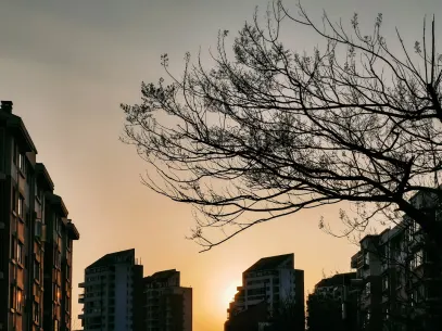 MegaReel Casino Mobiele App